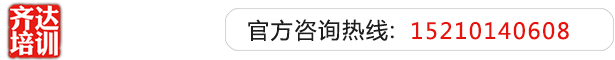 操一操你逼齐达艺考文化课-艺术生文化课,艺术类文化课,艺考生文化课logo